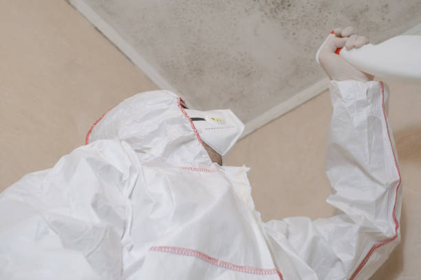 Best Mold Removal Process  in Kamiah, ID