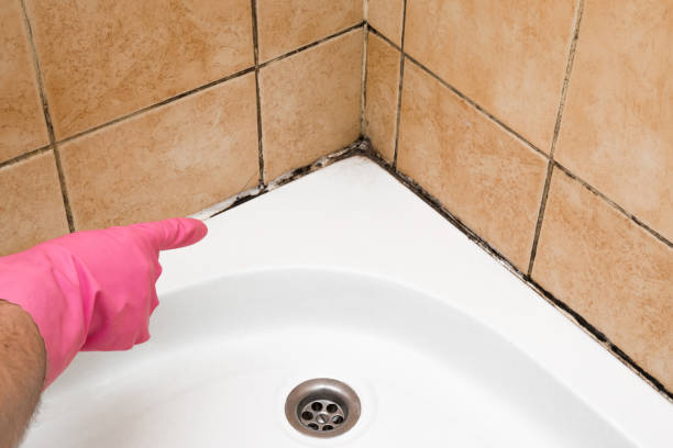 Best Mold Removal Near Me  in Kamiah, ID